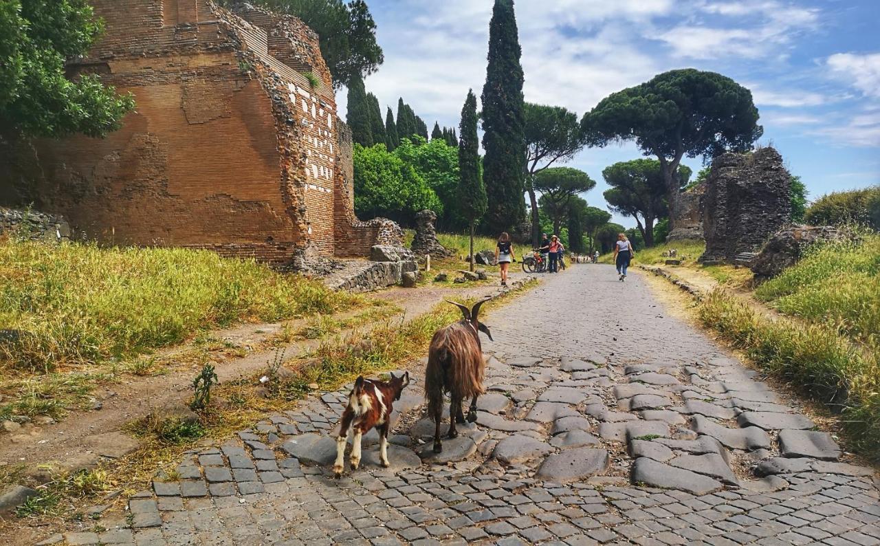 Casa Katiuscia Holiday home Rome